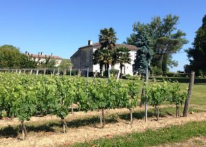 Château Amanieu d'Albret - Grands Vins de Bordeaux Château Amanieu d'Albret - Grands Vins de Bordeaux